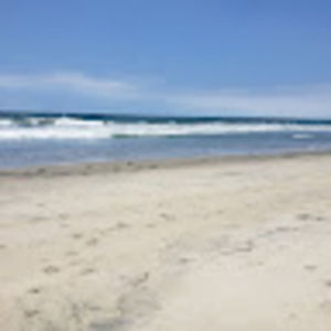 Meet your Posher, Marilyn